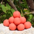 Pop up 40 g Venu�e (brusinka/mu�le)