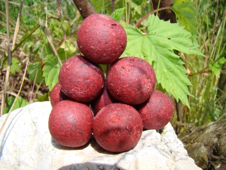 Boilie Venuše 2,5 kg (brusinka/mušle)