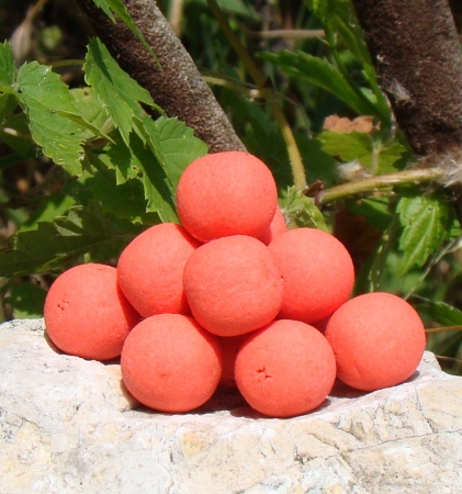 Pop up 40 g Venuše (brusinka/mušle)