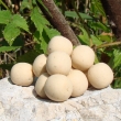 Pop up 40 g Gladitor (hnilobn pach)