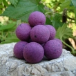 Pop up 40 g Isis (lesn� plody/humr)
