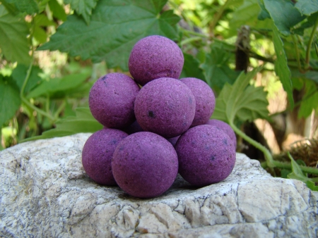 Pop up 40 g Isis (lesní plody/humr)