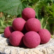 Pop up 40 g Decimus (��belsk� ko�en�)