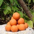 Pop up 40 g D�monika (olihe�/chilli)