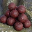 Hot. boilie Isis 2,5 kg      (lesn� plody/humr)