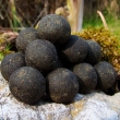 Boilie Agrippa 2,5 kg (uzen� makrela)