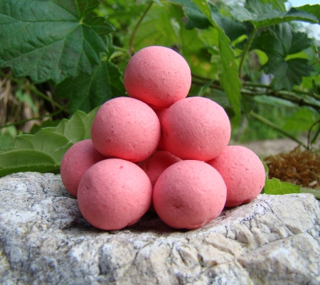 Pop up 40 g Brutus (j�tra/�esnek)